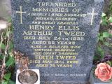 image of grave number 493602